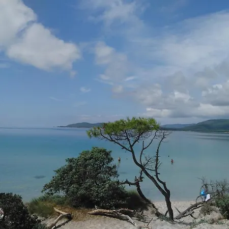 Gaudi Oda ve Kahvaltı Alghero