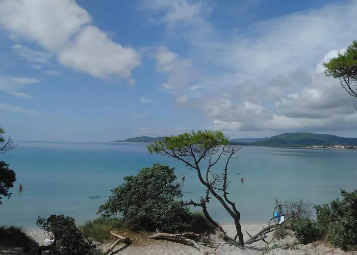 Gaudi Nocleg ze śniadaniem Alghero